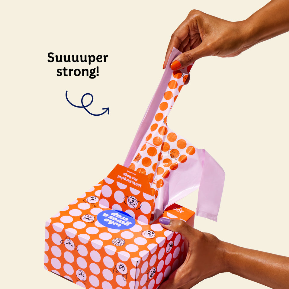 Who Gives a Crap recycled dog poo bag tied to a dog leash with text on image that says ‘suuuuper strong!’
