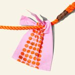 Who Gives a Crap recycled dog poo bag tied to a dog leash