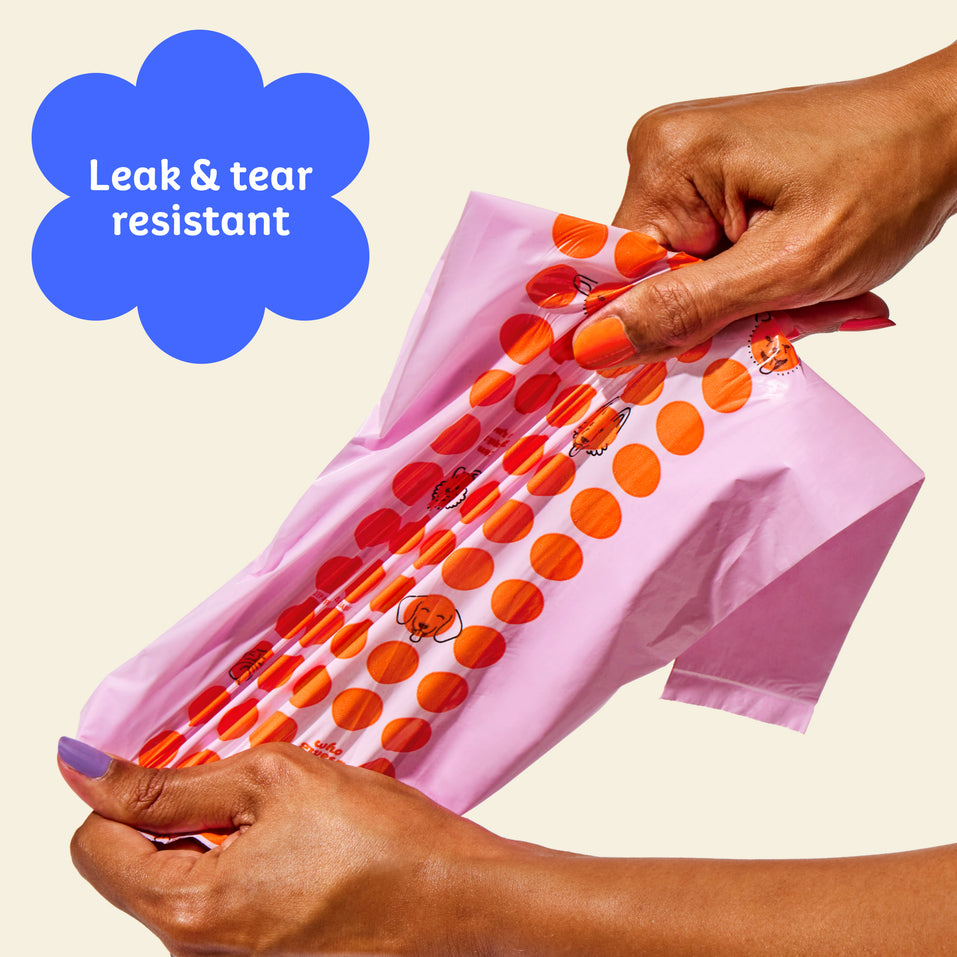 Who Gives a Crap recycled dog poo bag being pulled by a hand to show how strong they are with sticker on image that says leak and tear resistant