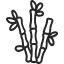 Bamboo stalks