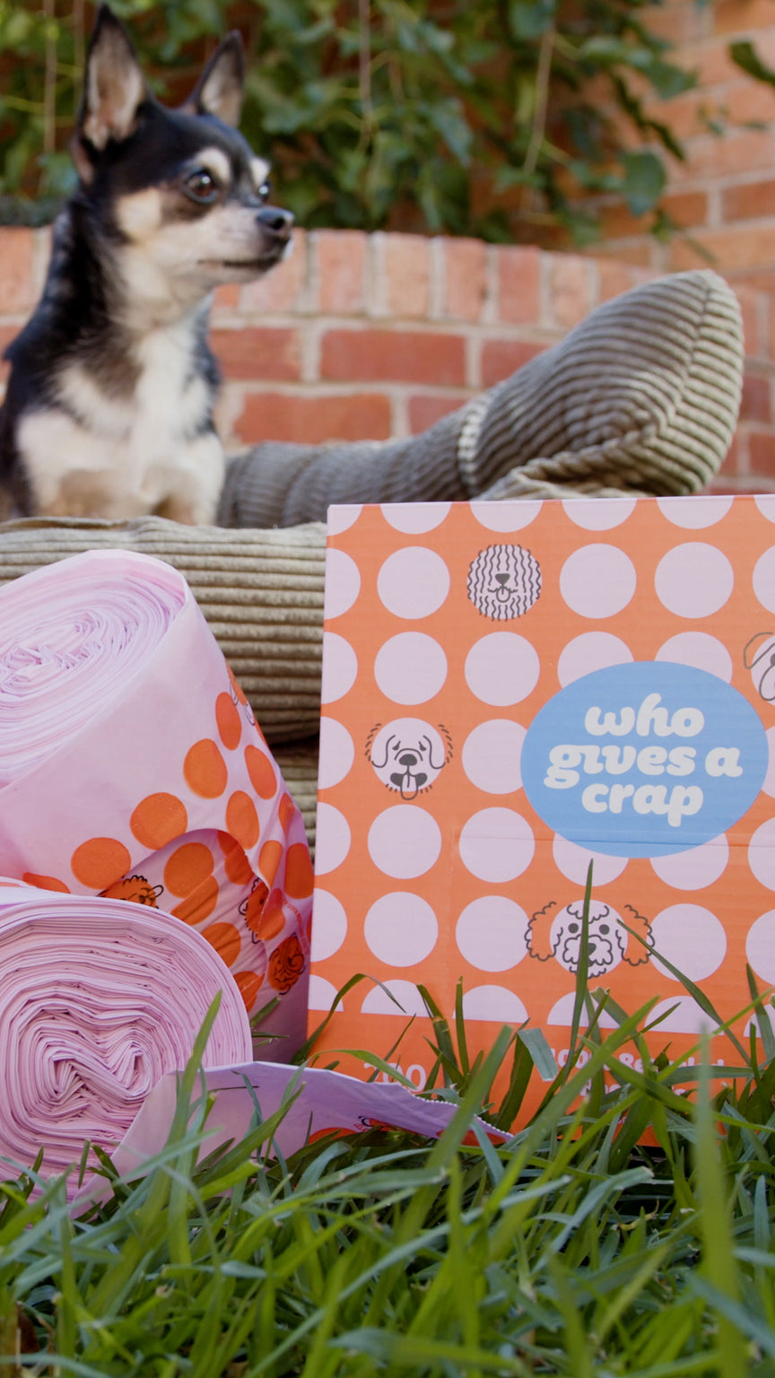 Video featuring 100% Recycled Dog Poo Bags