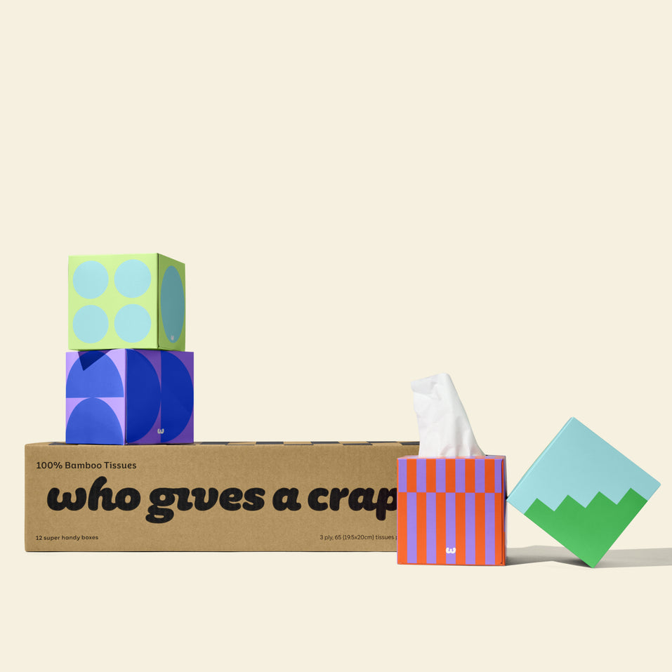 A box of Who Gives A Crap 100% bamboo tissues with colourful packaging - eco-friendly and sustainable tissues paper