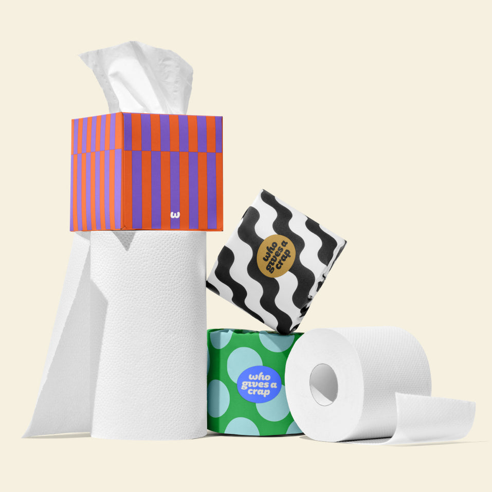 Who Gives A Crap tissue box balancing on a paper towel roll, arranged alongside wrapped and unwrapped bamboo and recycled toilet paper rolls.