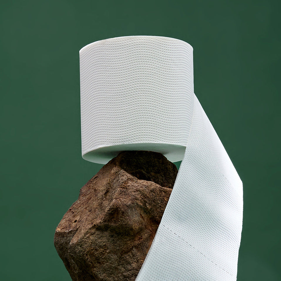 A naked roll of soft bamboo eco friendly toilet paper sitting atop of a rock.