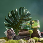3 rolls of toilet paper wrapped in printed paper sitting atop of rocks with a large leaf in the background. Each roll has a different image: one of a sloth, one of a river and one closeup of a green frog.