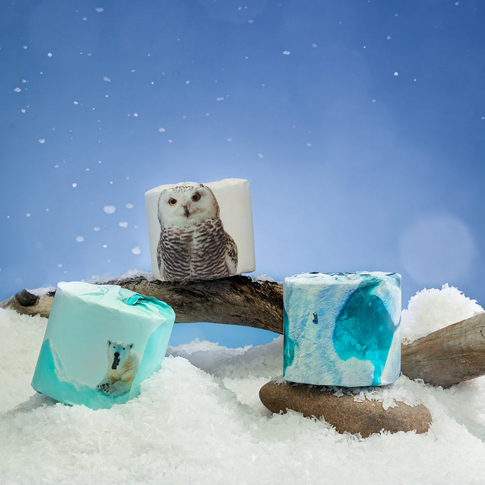 3 rolls of toilet paper wrapped in printed paper sitting in a snowy scene. Each roll has a different image: one of a polar bear, one of an owl and one of snowy glacial water.