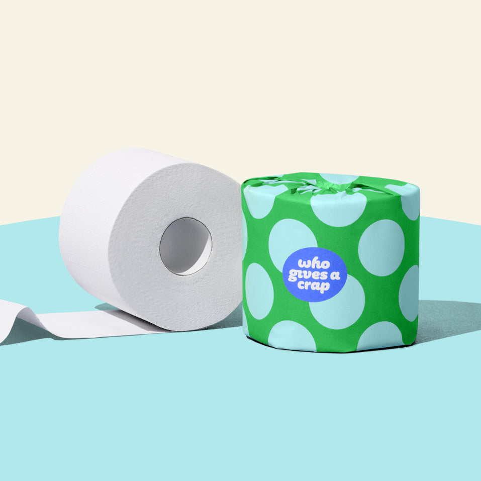 Two rolls of Who Gives a Crap recycled toilet paper against a blue and beige background.